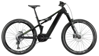 Whistle B-Rush CA5.5 FOX Performance green / black